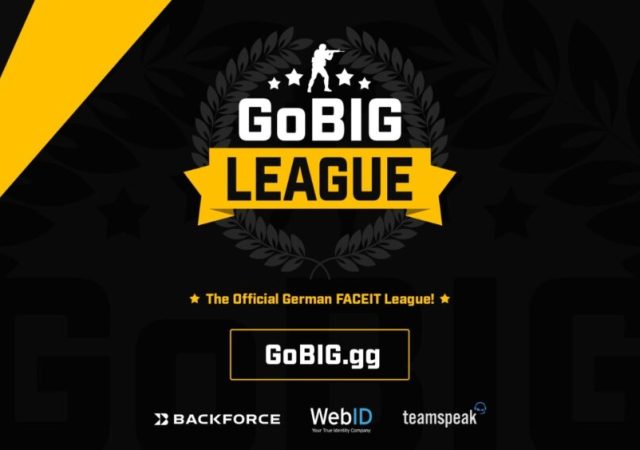 Logo GoBIG League