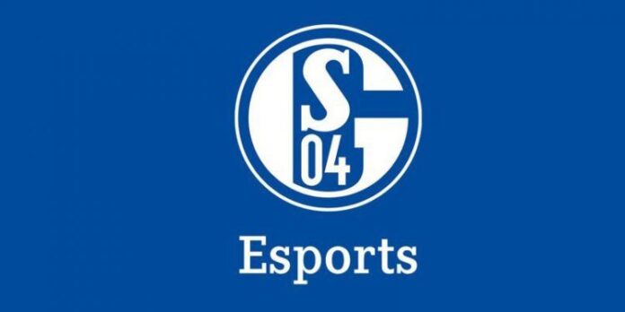 Schalke04